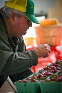 Vendor with strawberry display at Little Rock Farmer's Market. (PHOTO/LITTLE ROCK CONVENTION & VISITORS BUREAU)