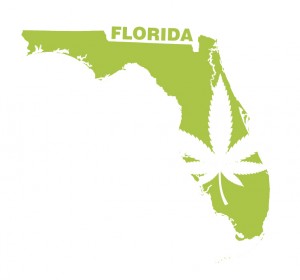 Florida graphic