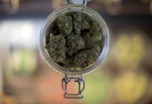 A sample of marijuana is shown inside the dispensary at Collective Awakenings on in Portland, Ore.  (AP Photo/The Oregonian, Beth Nakamura)   Beth Nakamura