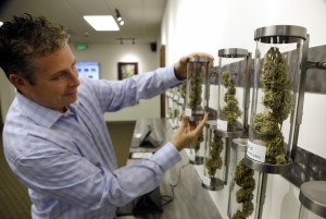 hane Mckee, co-founder of Shango Premium Cannabis dispensary, pulls a medical marijuana sample from their display of cannabis flowers in Portland, Ore., Wednesday, Nov. 5, 2014. Oregon voters have made their state the third to legalize recreational pot, but it will be more than a year before the first shops open. But dispensaries that already sell medical marijuana are expected to start taking steps to get their applications in to sell recreational weed as well. (AP Photo/Don Ryan)