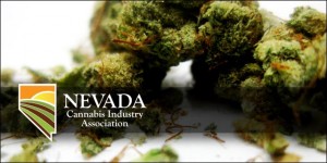 nevada_cannabis_industry_assoc