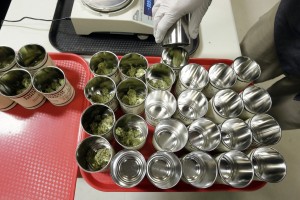 Marijuana is measured in 3.5 gram amounts and placed in cans for packaging at the Pioneer Production and Processing marijuana growing facility in Arlington, Wash.  (AP Photo/Elaine Thompson)
