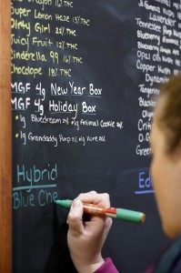 Cannabis City assistant manager Pam Fenstermacher fills in a reader board of current marijuana available at the shop in Seattle.  (AP Photo/Elaine Thompson)