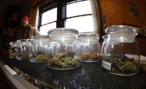 Glass jars containing various strains of marijuana sit on a counter at the 3D Dispensary  in Denver. While polls show more voters favoring the legalization of marijuana, law enforcement officials in Nebraska and Oklahoma have asked the U.S. Supreme court to end Colorado's legalized pot experiment. (AP Photo/David Zalubowski)