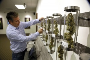 Shane McKee, co-founder of Shango Premium Cannabis medical marijuana dispensary, pulls a sample from their display of cannabis flowers in Portland, Ore.  (AP Photo/Don Ryan, File) 