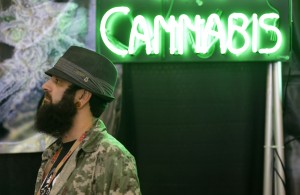 Adam Dunn, owner of the marijuana seed company T.H. Seeds, stands near a neon "cannabis" sign as he works in a booth for the pot-seed broker SeedsHereNow.com, Thursday, Feb. 19, 2015, at CannaCon, a marijuana business trade show in Seattle featuring exhibitors offering everything from grow lights to mechanical pot plant trimmers. The trade show is expected to draw thousands of business owners and consumers looking for new products or information. (AP Photo/Ted S. Warren)