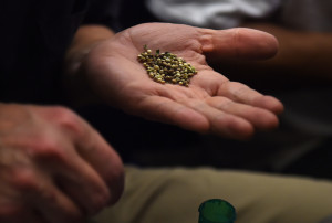 A man who did not want to be identified holds marijuana seeds that he planned to share in Washington.  (Washington Post photo by Matt McClain)