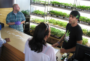 Harborside Health Center employee Mike Lewis, right, talks to a patient interested in purchasing marijuana starter plants. Harborside, in Oakland California, is one of the largest marijuana dispensaries in the nation.  (Herald-Tribune Staff Photo / Michael Pollick)