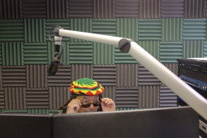 Marc Paskin, who goes by the name Gary Ganja, on the air in their new studio in Denver, June 12, 2015. In May, Paskin moved to Denver, bought a radio station for $875,000 and christened it Smokin 94.1, declaring it the state’s only pot-themed FM station. (Matthew Staver/The New York Times)