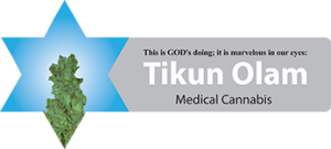 Tikun Olam logo