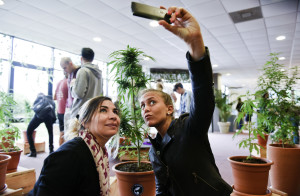 Visitors take pictures of themselves with a marijuana plant during the Expo Cannabis Fair, the second fair of its kind after the state regulated marijuana production and sales in Montevideo, Uruguay, Saturday, Dec. 5, 2015. The expo featured stands selling seeds, marijuana growing technology, conferences and workshops on cultivation techniques. (AP Photo/Matilde Campodonico)